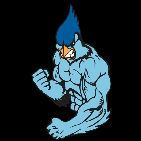 BAW BLUEJAY 13 RC Thumbnail