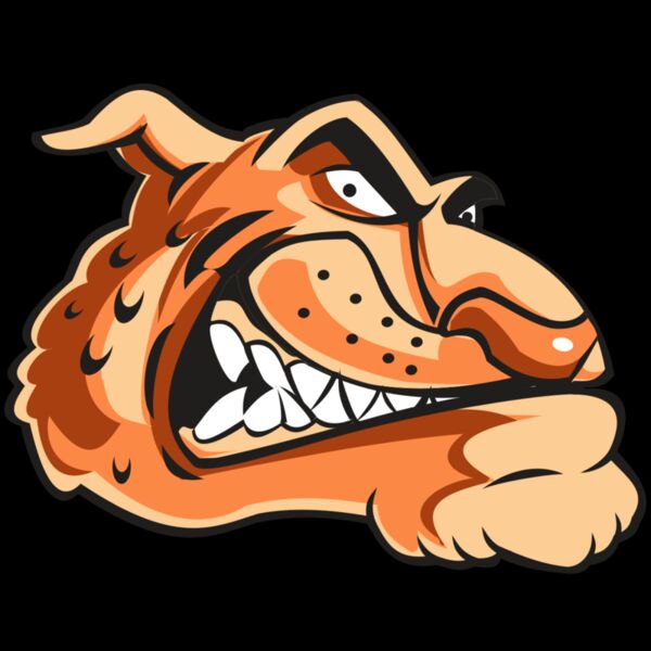 CHEETAH HD0503 RQC Thumbnail