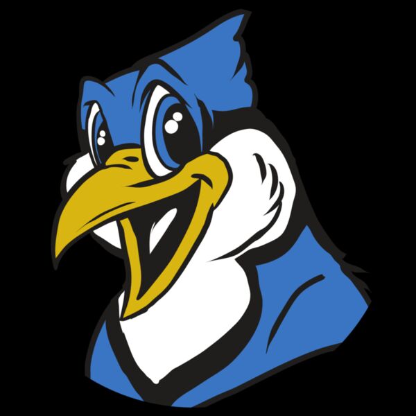 AR31 BLUEJAY 01 RQC Thumbnail