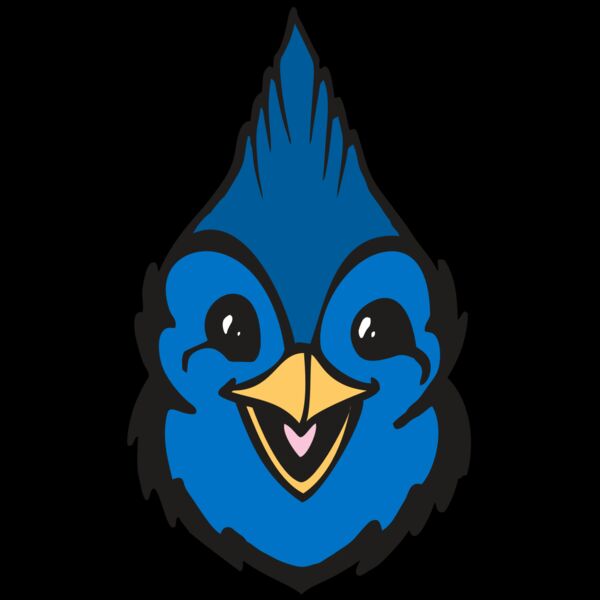 BAW BLUEJAY 19 RC Thumbnail