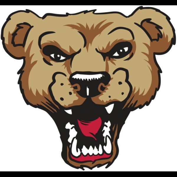 AR9 BEAR HD 01 RQC Thumbnail