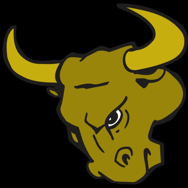 AR BULL 26 RC Thumbnail