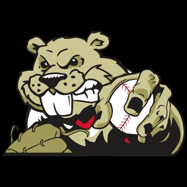 AR4 BEAVER 06 RQC Thumbnail