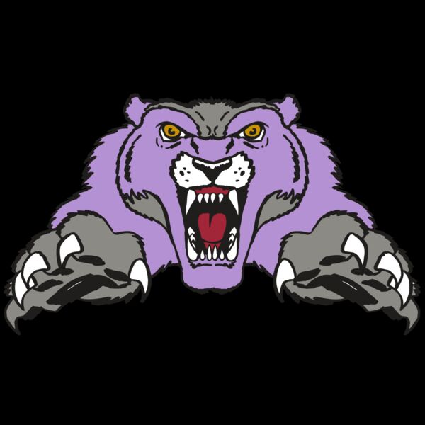 AR WOLVERINE 17 RC Thumbnail