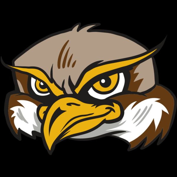 AR12 OWL 02 RQC Thumbnail