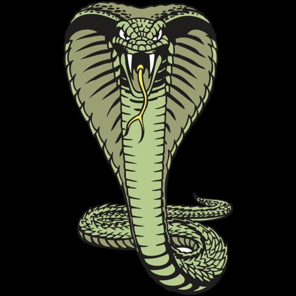 BAW SNAKE 15 RC Thumbnail