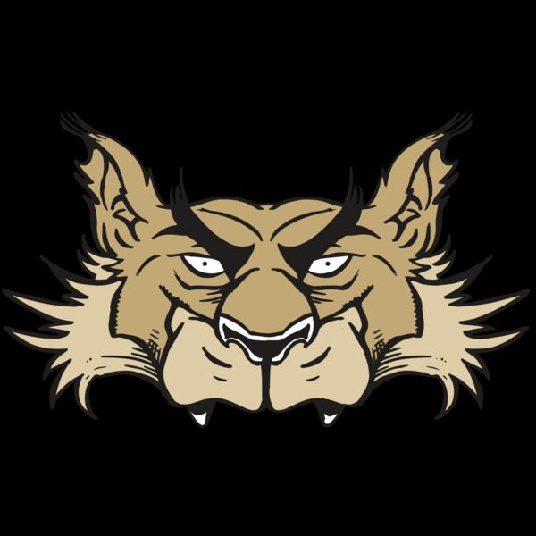 AR5 Wolf 28 RQC Thumbnail