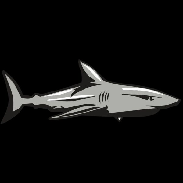 AR9 SHARK 01 RQC Thumbnail