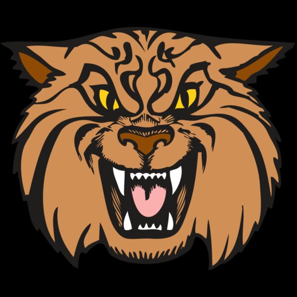 BAW WILDCAT 04 RC Thumbnail