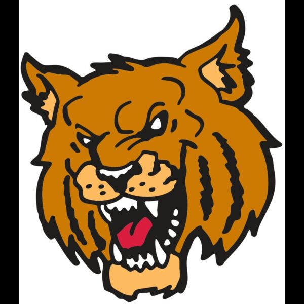 AR WILDCAT 36 RC Thumbnail